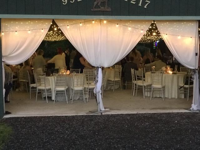 The Wedding Agent - 3