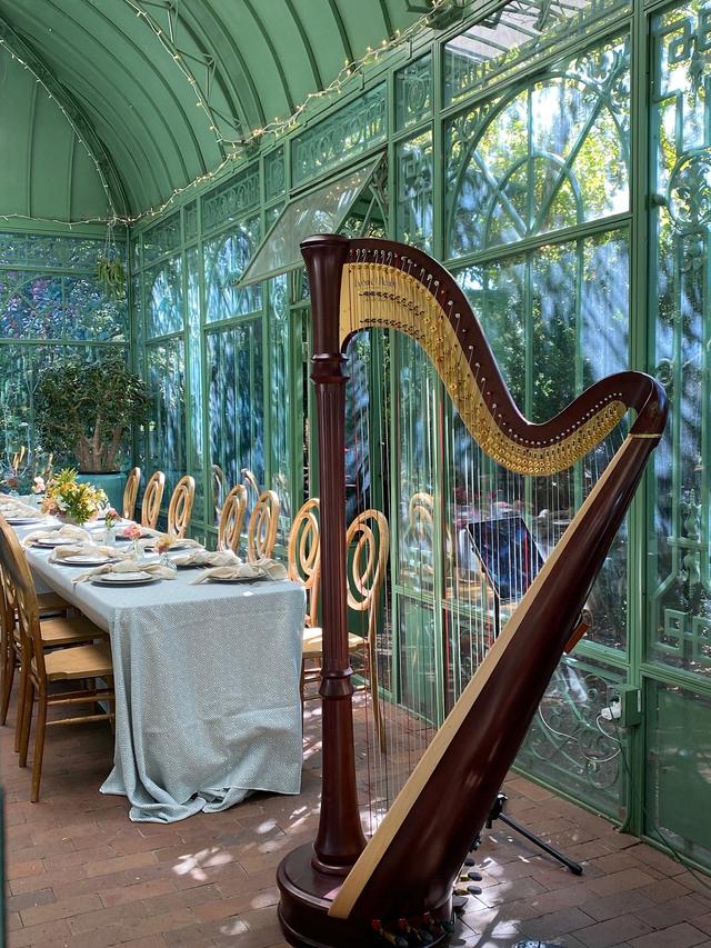 Abigail Enssle, Harpist - 2