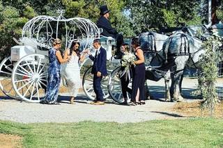 An Occasion Events - 9
