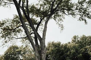 Andrea Godfrey Photography - 22