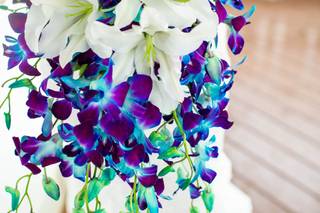 The Rosy Posy - 110