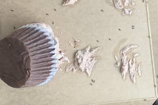 La Zucre Cake Boutique - 10