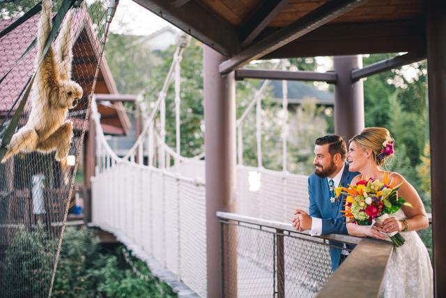 Zoo Knoxville - 1