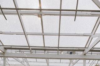 Christianson's Nursery & Greenhouse - 19