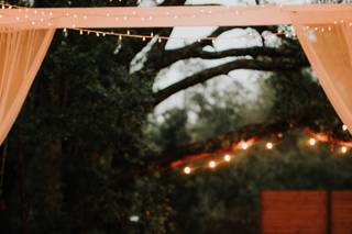 West Light Farm - 28