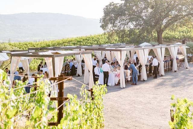 Merryvale Vineyards 3