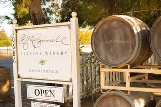 McConnell Estates Winery - 49
