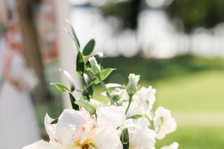 New Creations Flowers - 10