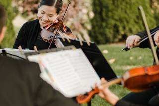 Puget Sound Strings - 12