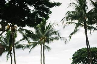 Your Aloha Wedding Company, Inc. - 25