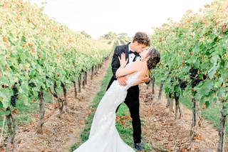 Big Cork Vineyards - 48