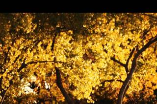 Iris Photography Studios - 13