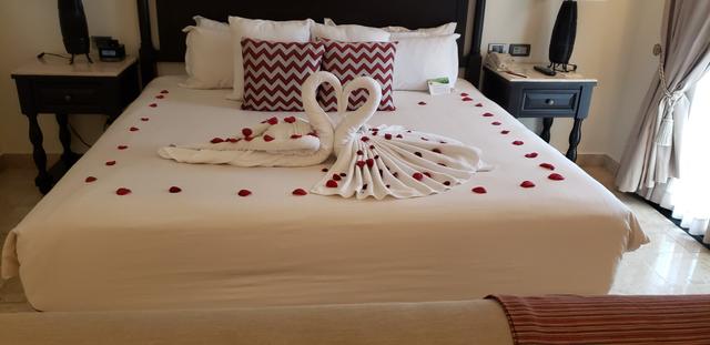 CP Travel and Cruising - 3