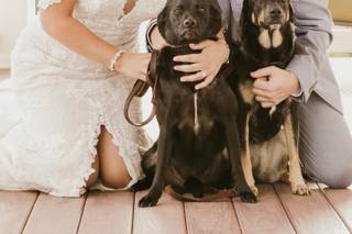 Charise Healy Photography - 17