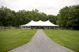 Terrydiddle Farm - 20