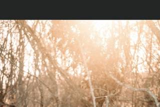 Picturesque by Mandie - 6