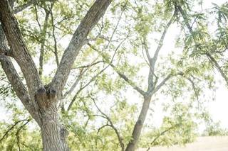 NKG Imagery - 11