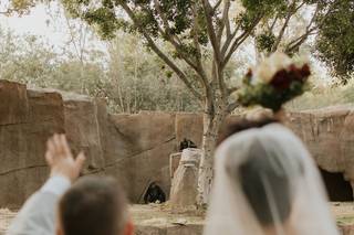 San Diego Zoo Wildlife Alliance - 75