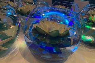 MJK Events, LLC - 17