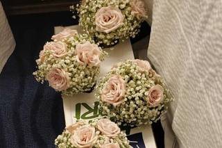 Cotton & Magnolia - 12