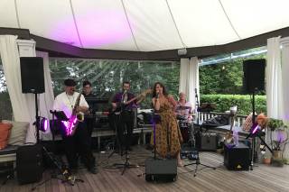 The Vine Shakers - 10
