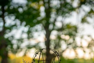Sweetened Memories - 14