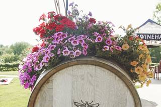 Winehaven Winery and Vineyard - 8