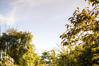 Cassondre Mae Photography - 62