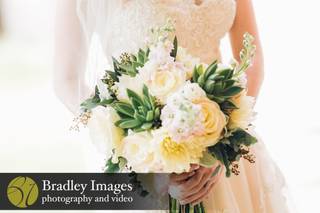 Bradley Images, inc. - 56