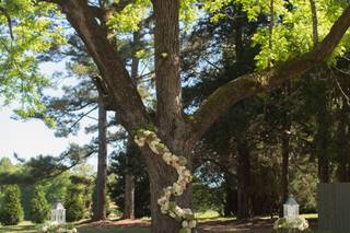 Chapman Hill Weddings + Events - 7