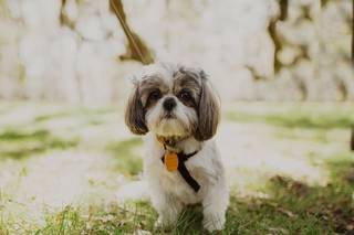 Madison Krupp Photography - 9