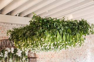 Wisteria Designs - 21