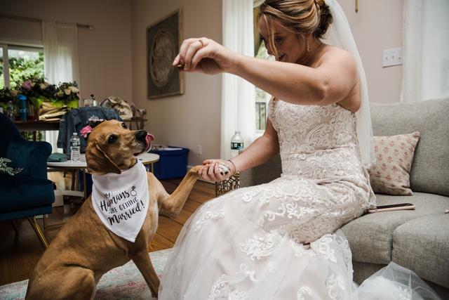 Amanda Luisa Photography & Illustration - 4