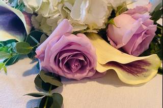 Petals by the Sea - 7