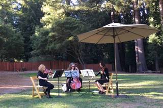 Corelli Strings - 10