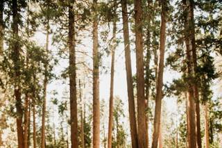 Sydnie Leah Photography - 41