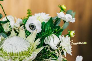 Lemon & Tulips - 39