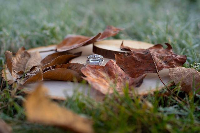 James Cullop Photography - 3
