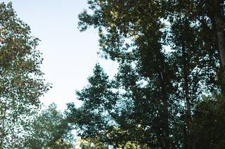 Strands of Light - 8