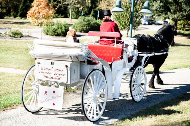 Willow Wind Carriage & Limousine Service - 4