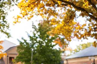 Eric Vest Photography, Inc. - 42