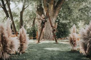 root + gather events - 40