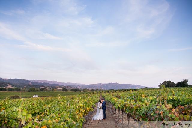 Trione Vineyards & Winery - 1