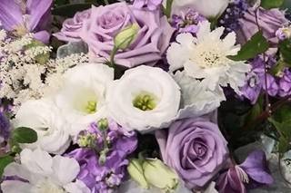 Floressence - 6