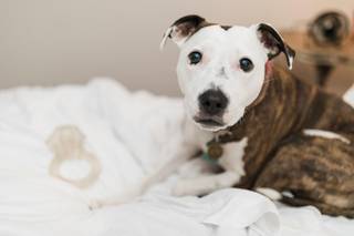 Jessie Newton Photography - 7