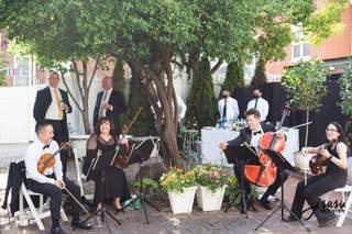 String Quartet of Northern Virginia - 11