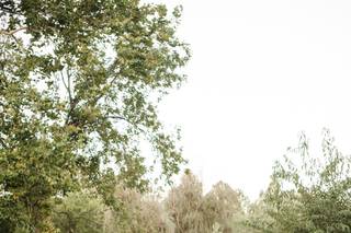 The Hill Studios - 7