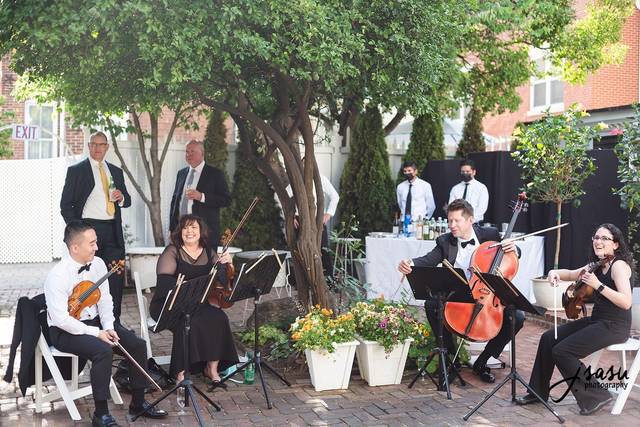 String Quartet of Northern Virginia 5