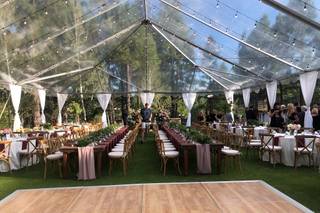 Shine Events - 17