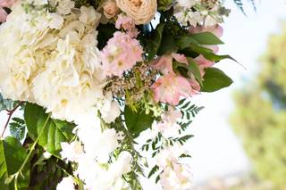 Country Florist - 36
